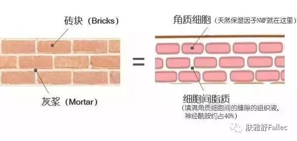 图片29.png